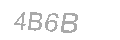 Güvenlik Kodu