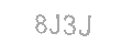 Güvenlik Kodu