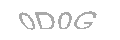 Güvenlik Kodu