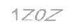 Güvenlik Kodu