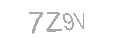 Güvenlik Kodu