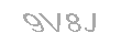 Güvenlik Kodu